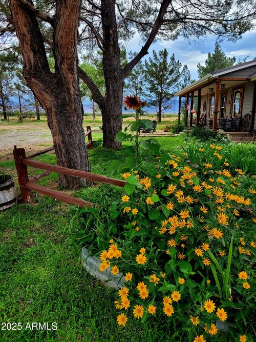 8255 N Fort Grant Rd, Willcox, AZ, 85643-3240 | Card Image