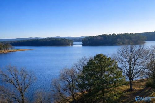 lot-29-Lot 29 County Road 789, Centre, AL, 35960 | Card Image