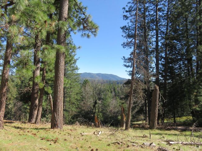 4196 Bald Mountain Rd, Home with 0 bedrooms, 0 bathrooms and null parking in West Point CA | Image 38