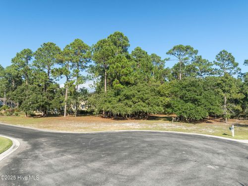 1744 Mute Swan Ln Se, Bolivia, NC, 28422-7996 | Card Image