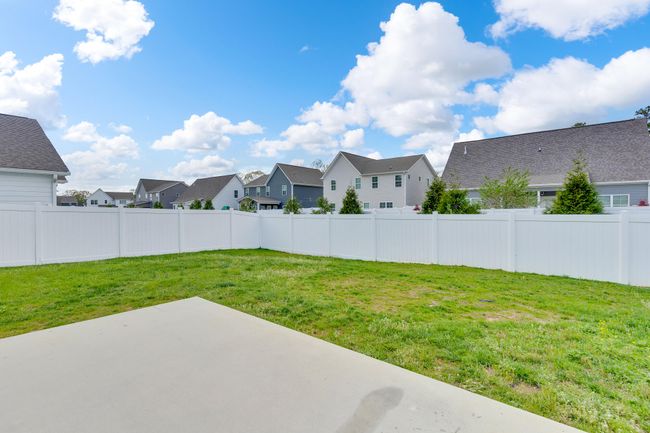 Leveled backyard | Image 34