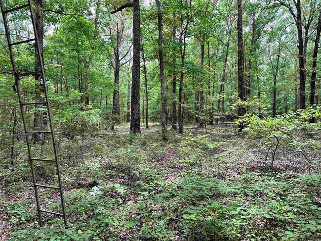 000 Oak Dale Rd, Home with 0 bedrooms, 0 bathrooms and null parking in Lonoke AR | Image 30