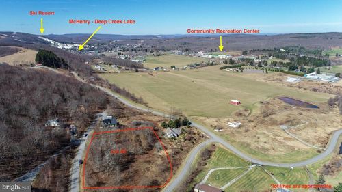 40 Daisy Dr, MC HENRY, MD, 21541 | Card Image