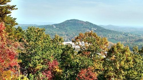 tr-4-0 Daybreak Rd, Cleveland, GA, 30528 | Card Image