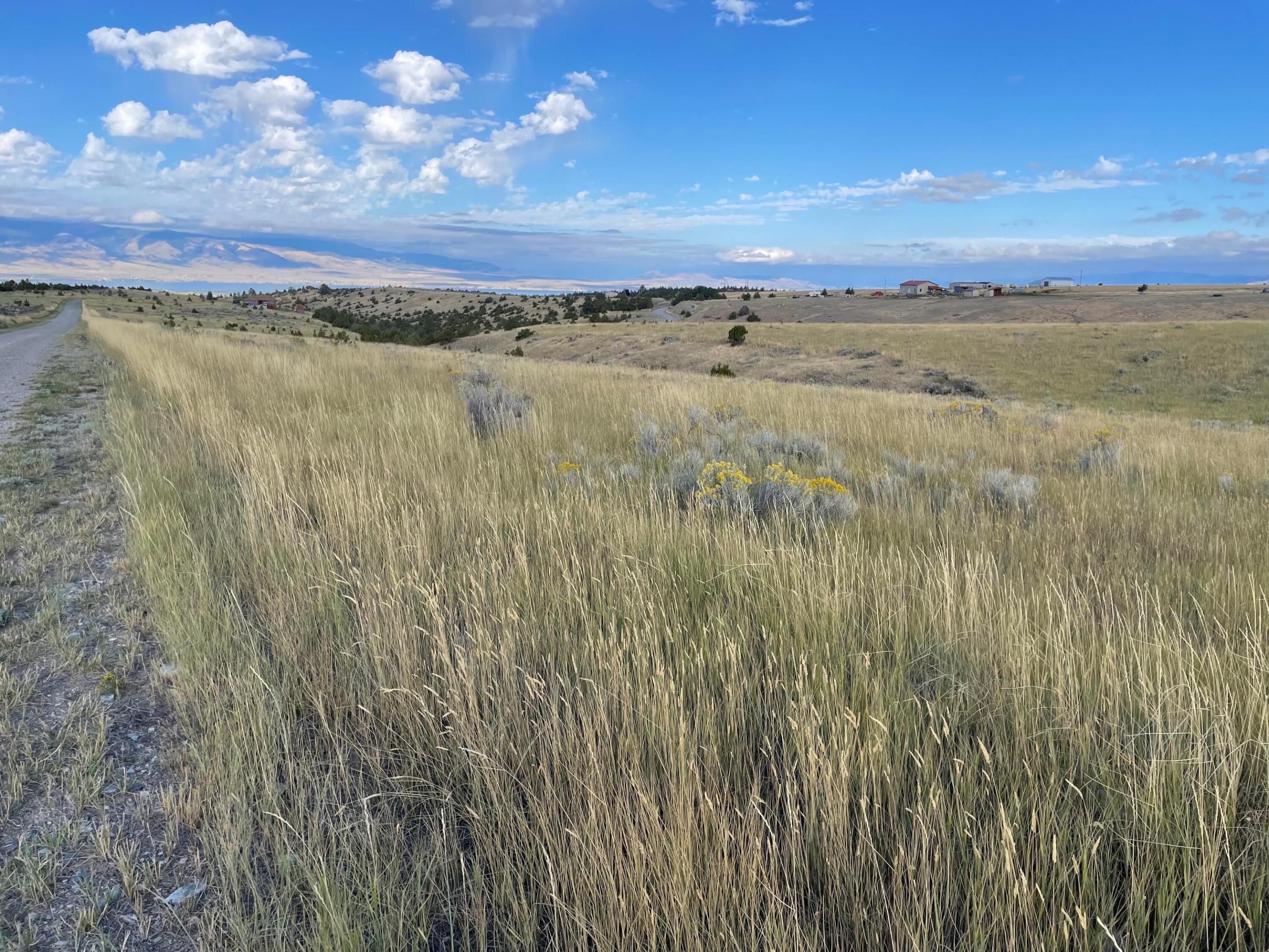 Land in Townsend 2