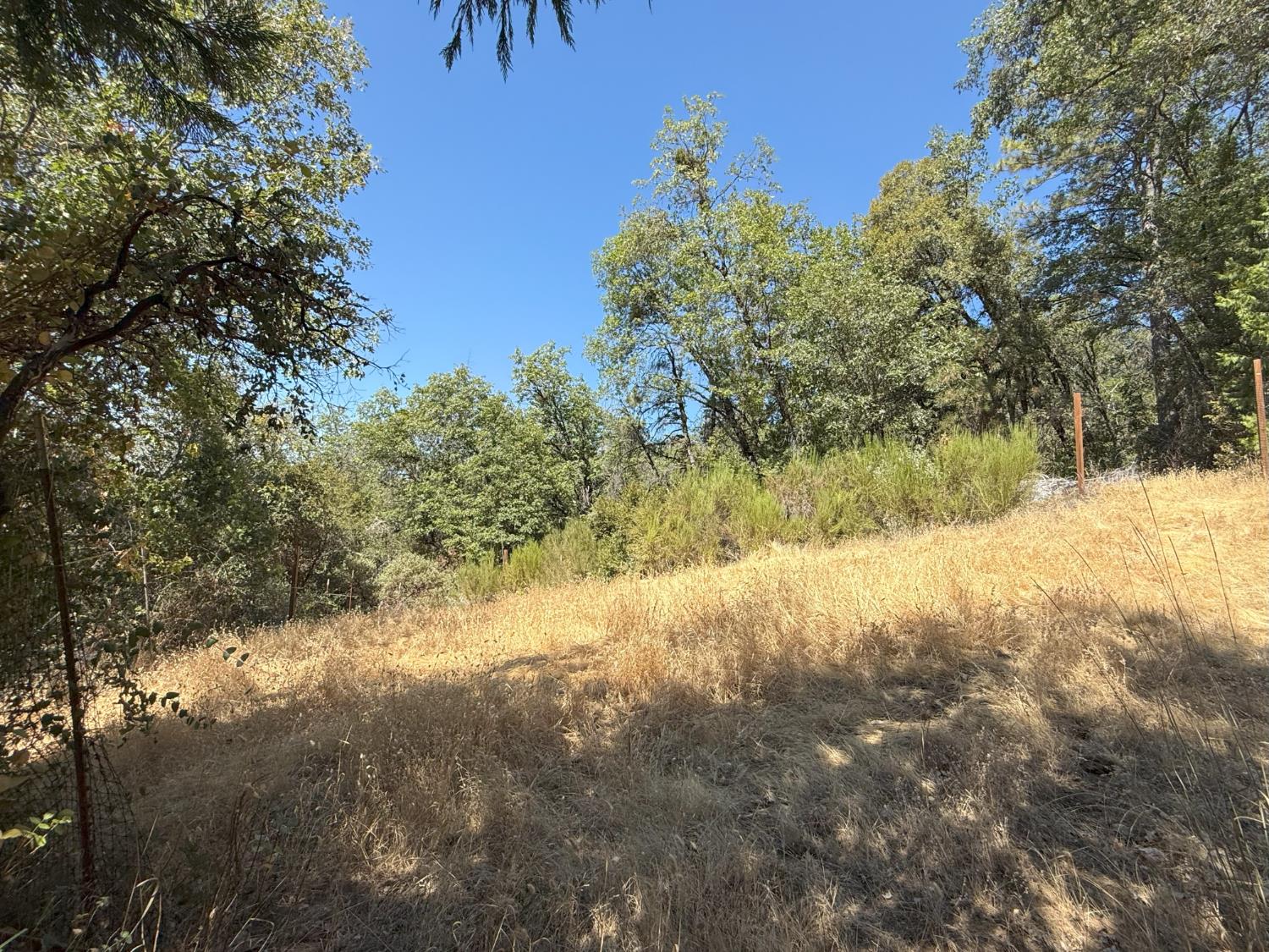Land in Nevada City 2