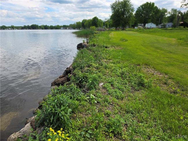 Typical lakefront | Image 10