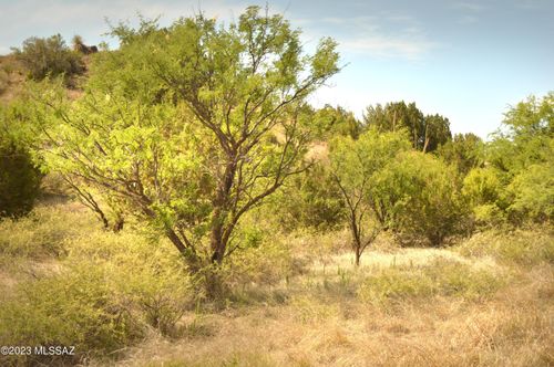 28-142 Tanglehead Lane, Patagonia, AZ, 85624 | Card Image