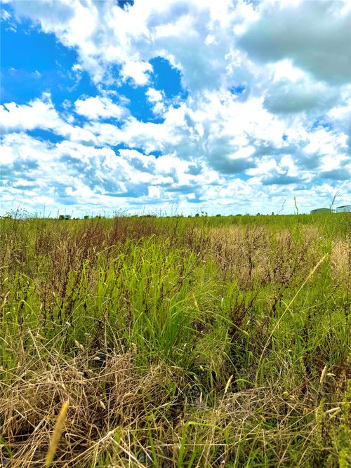 TBD Tract 4 Beal Road, Eagle Lake, TX, 77434 | Card Image