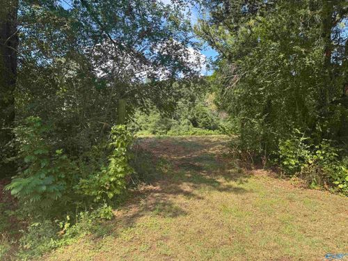 Lot 1 Word Mountain Rd, Grant, AL, 35747-7897 | Card Image