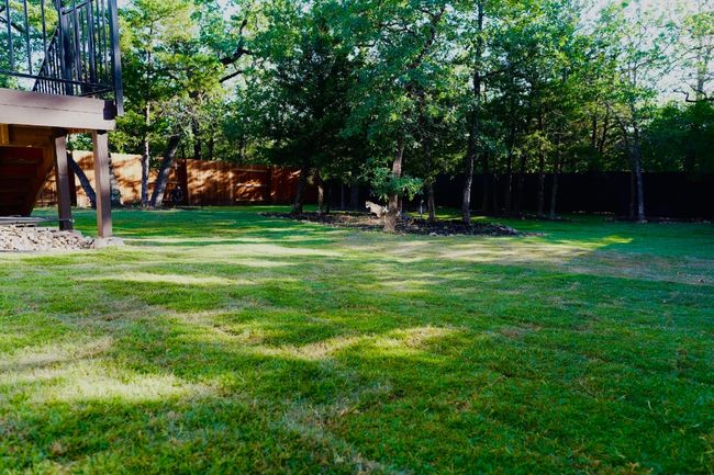 View of yard | Image 28