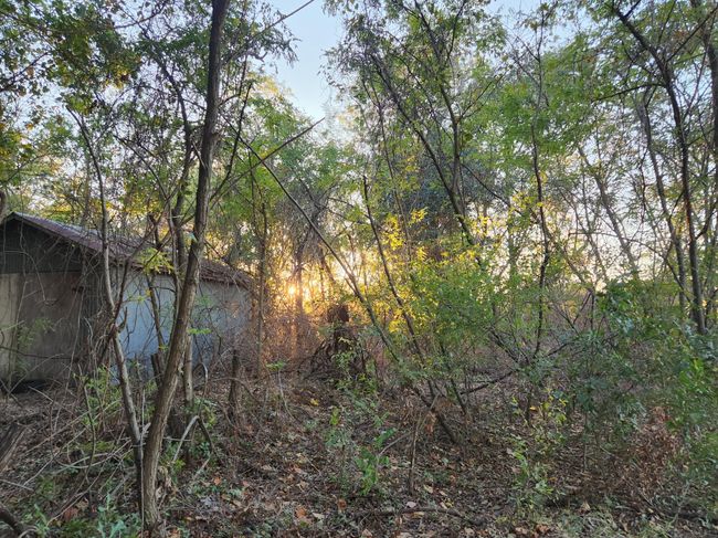 0 County Rd, Home with 0 bedrooms, 0 bathrooms and null parking in Eustace TX | Image 7