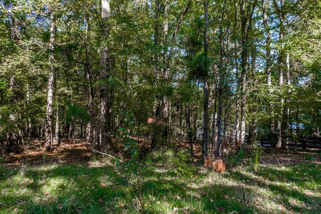 1220 Apalachee Woods Trl, Home with 0 bedrooms, 0 bathrooms and null parking in Buckhead GA | Image 6