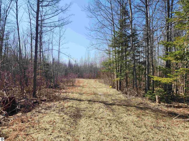 000 Old M 66 Nw, Home with 0 bedrooms, 0 bathrooms and null parking in Kalkaska MI | Image 8
