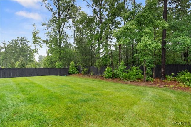 View of yard | Image 44