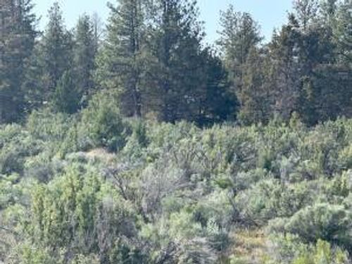 lot-7-0 Council Butte Dr, Beatty, OR, 97621 | Card Image