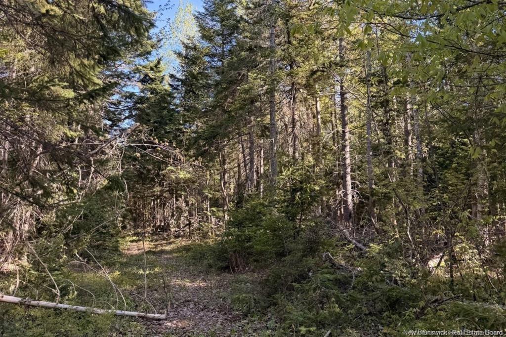 Land in Portage Vale 5