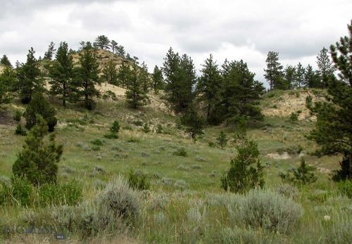 3808 Moon Creek Rd, Miles City, MT, 59301-6214 | Card Image