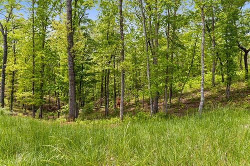 LOT 39 Jakes Landing Way S, Ellijay, GA, 30540-4419 | Card Image