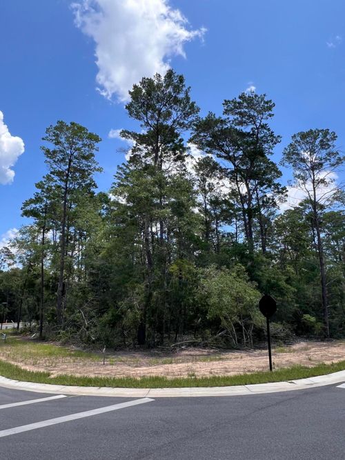 258 Foxglove Run, Niceville, FL, 32578-1740 | Card Image