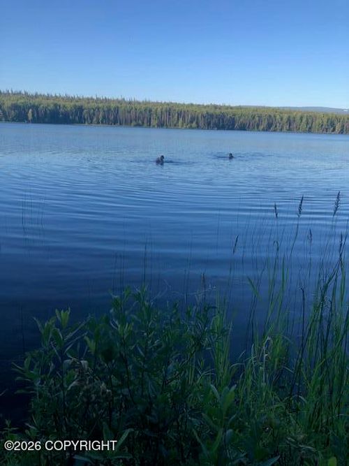 No Road Susitna Lake Road, Glennallen, AK, 99588 | Card Image