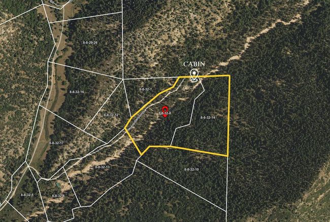 20 Acres | Image 4