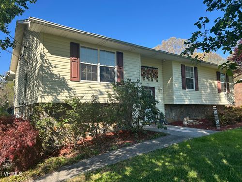 163 Austin Dr, Rogersville, TN, 37857-6288 | Card Image