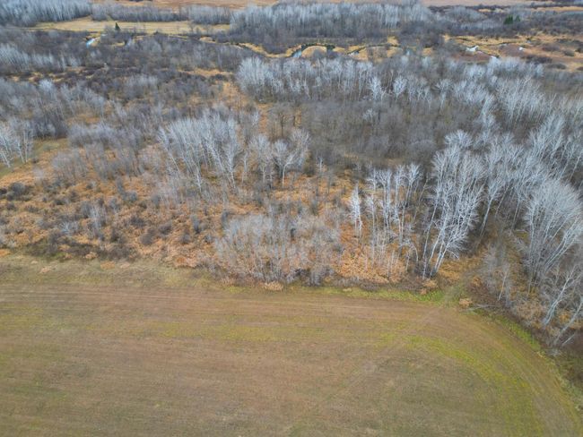 DJI_0383.JPG | Image 31