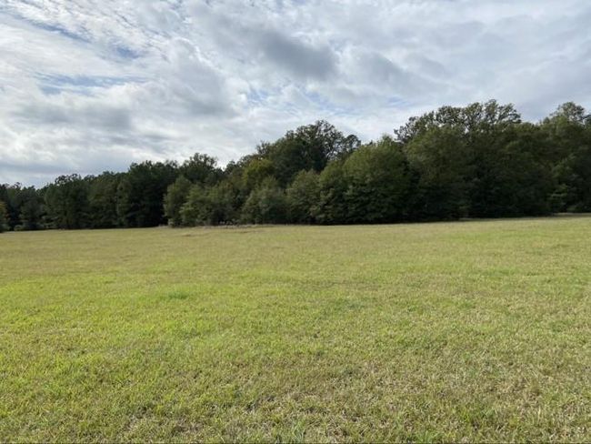 0 Highway 41 S, Home with 0 bedrooms, 0 bathrooms and null parking in Foreman AR | Image 5
