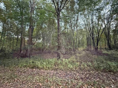 0 Eggert Rd, Dundee, MI, 48131 | Card Image