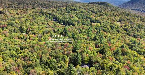 000 Wonder Ln, Jamaica, VT, 05343 | Card Image