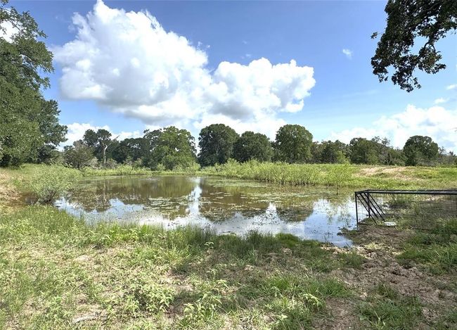 1435 Shaws Bend Rd, Home with 3 bedrooms, 2 bathrooms and null parking in Columbus TX | Image 29