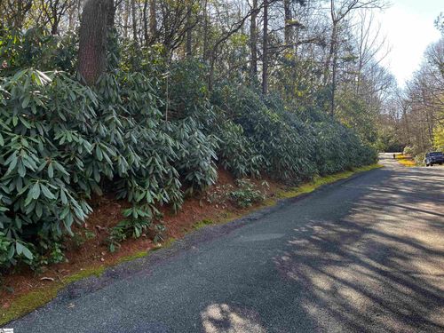 lot-182-116 Hemlock Trail, Cleveland, SC, 29635 | Card Image