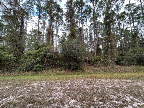 108 Se 5th St, GEORGETOWN, FL, 32139 | Card Image
