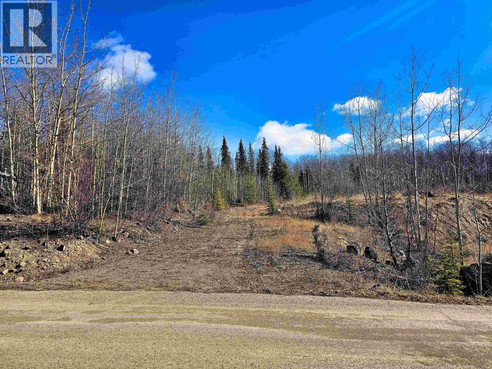 Land in Burns Lake 4