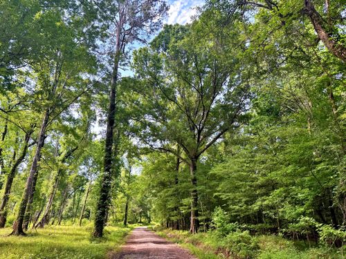 1905 Walker Rd, Georgetown, SC, 29440-8735 | Card Image