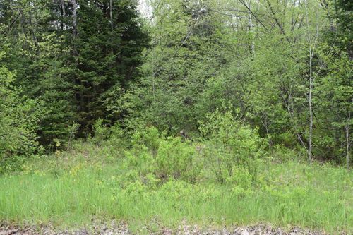 0 Faraway Rd, Whitefield, NH, 03598 | Card Image