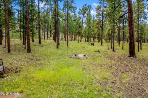 16 N1062, Greer, AZ, 85927 | Card Image