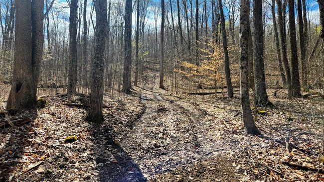 TRACT-1-PIKE-LAKE-GETAWA - 0 Pike Lake Rd, Home with 0 bedrooms, 0 bathrooms and null parking in Bainbridge OH | Image 21