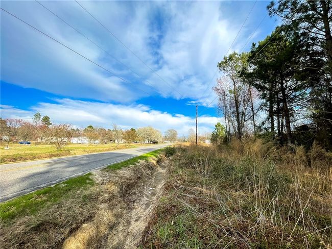 00 New Bridge Rd, Home with 0 bedrooms, 0 bathrooms and null parking in Mc Coll SC | Image 13