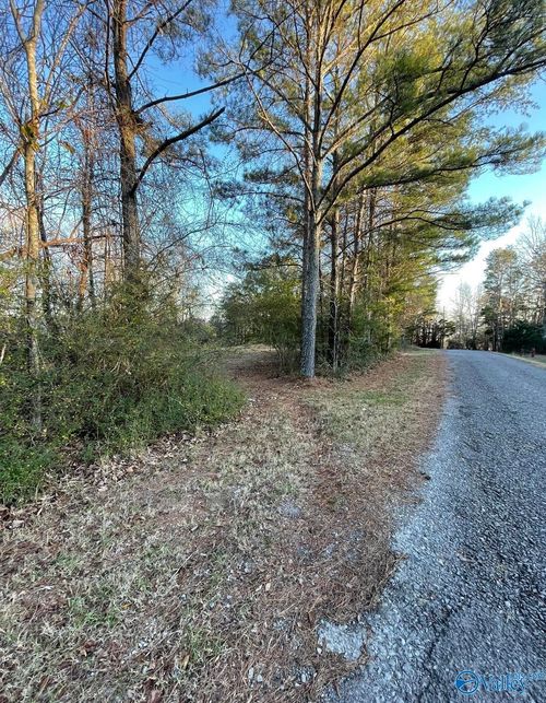 Lot 19 Leach Drive, Guntersville, AL, 35976 | Card Image