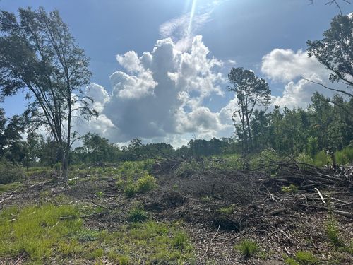 0 Utsey Hill Rd, Saint George, SC, 29477 | Card Image
