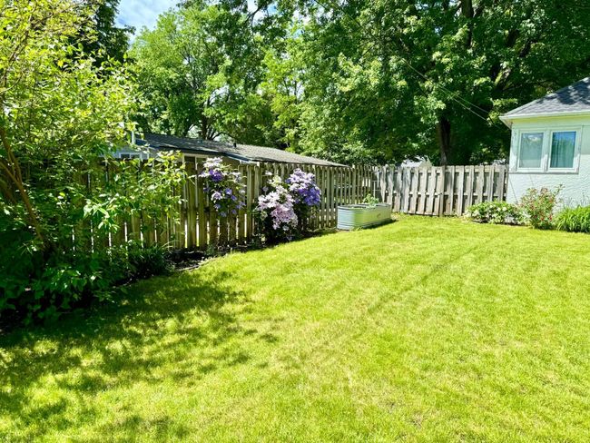 The yard in the summer is a beautiful green oasis. | Image 25