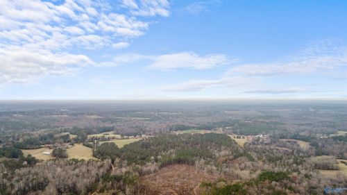 151.13 Acres County Road 673, Roanoke, AL, 36274 | Card Image