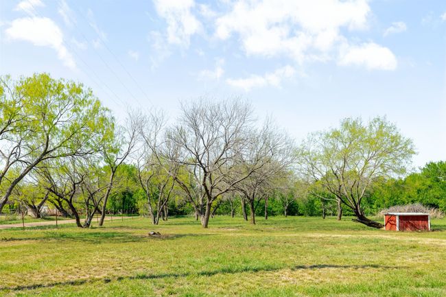 View of yard with a storage unit and an outdoor structure | Image 31