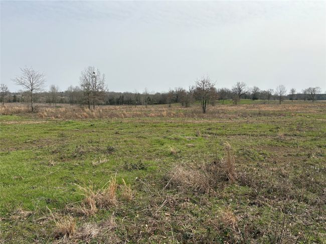 TRACT-1 - TBD County Road 2425, Home with 0 bedrooms, 0 bathrooms and null parking in Como TX | Image 9