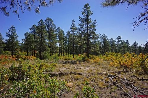 5 Road J.7, Mancos, CO, 81328 | Card Image