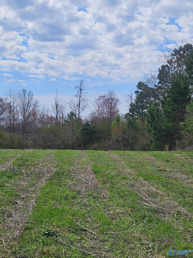 13.5 Acres County Road 687, Home with 0 bedrooms, 0 bathrooms and null parking in Henagar AL | Image 6