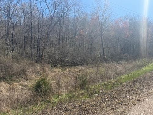 TRACT 10 Hwy 22a Hwy, Jacks Creek, TN, 38347 | Card Image