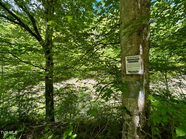 47 Tbd Enoch Rd, Home with 0 bedrooms, 0 bathrooms and null parking in Eidson TN | Image 24